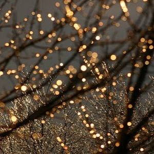 Meet your Posher, Bella